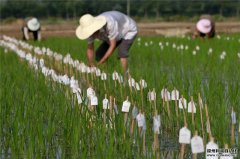 農業氣象觀測設備有什么作用