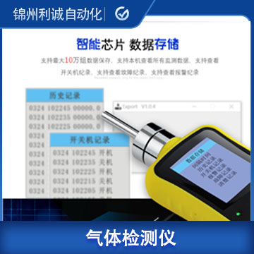 復(fù)合式可燃?xì)怏w檢測儀